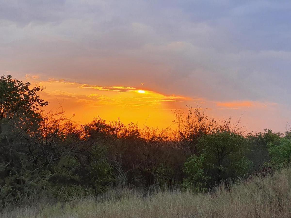 Masorini Bush Lodge Phalaborwa Esterno foto