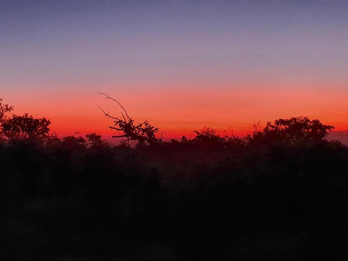 Masorini Bush Lodge Phalaborwa Esterno foto