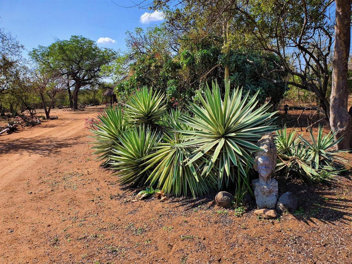 Masorini Bush Lodge Phalaborwa Esterno foto