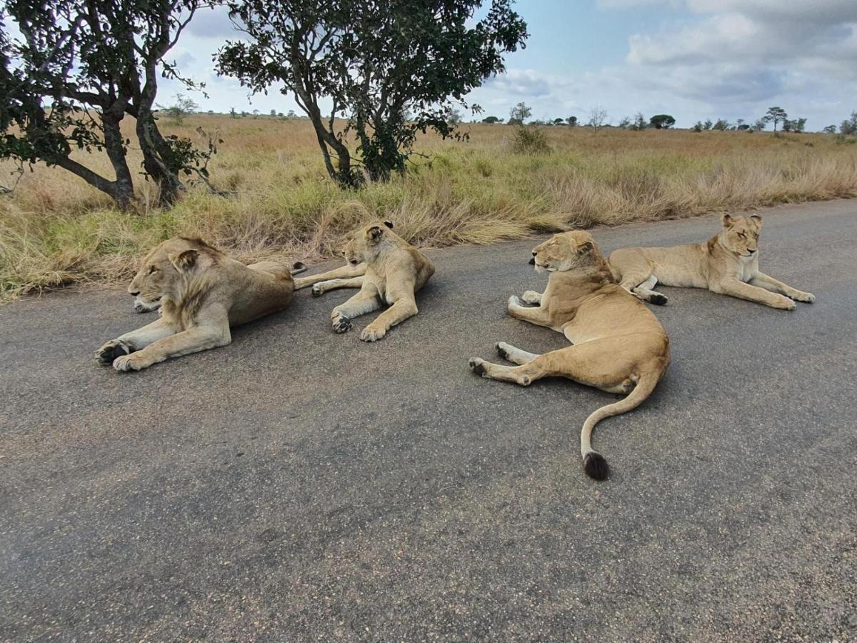 Masorini Bush Lodge Phalaborwa Esterno foto