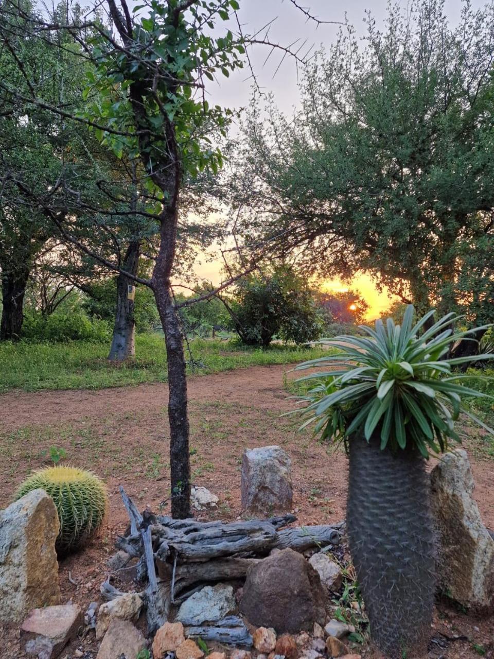 Masorini Bush Lodge Phalaborwa Esterno foto