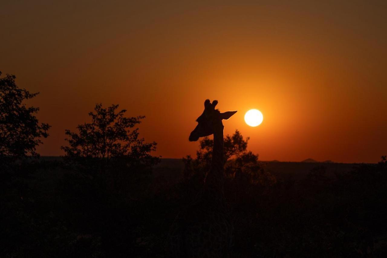 Masorini Bush Lodge Phalaborwa Esterno foto