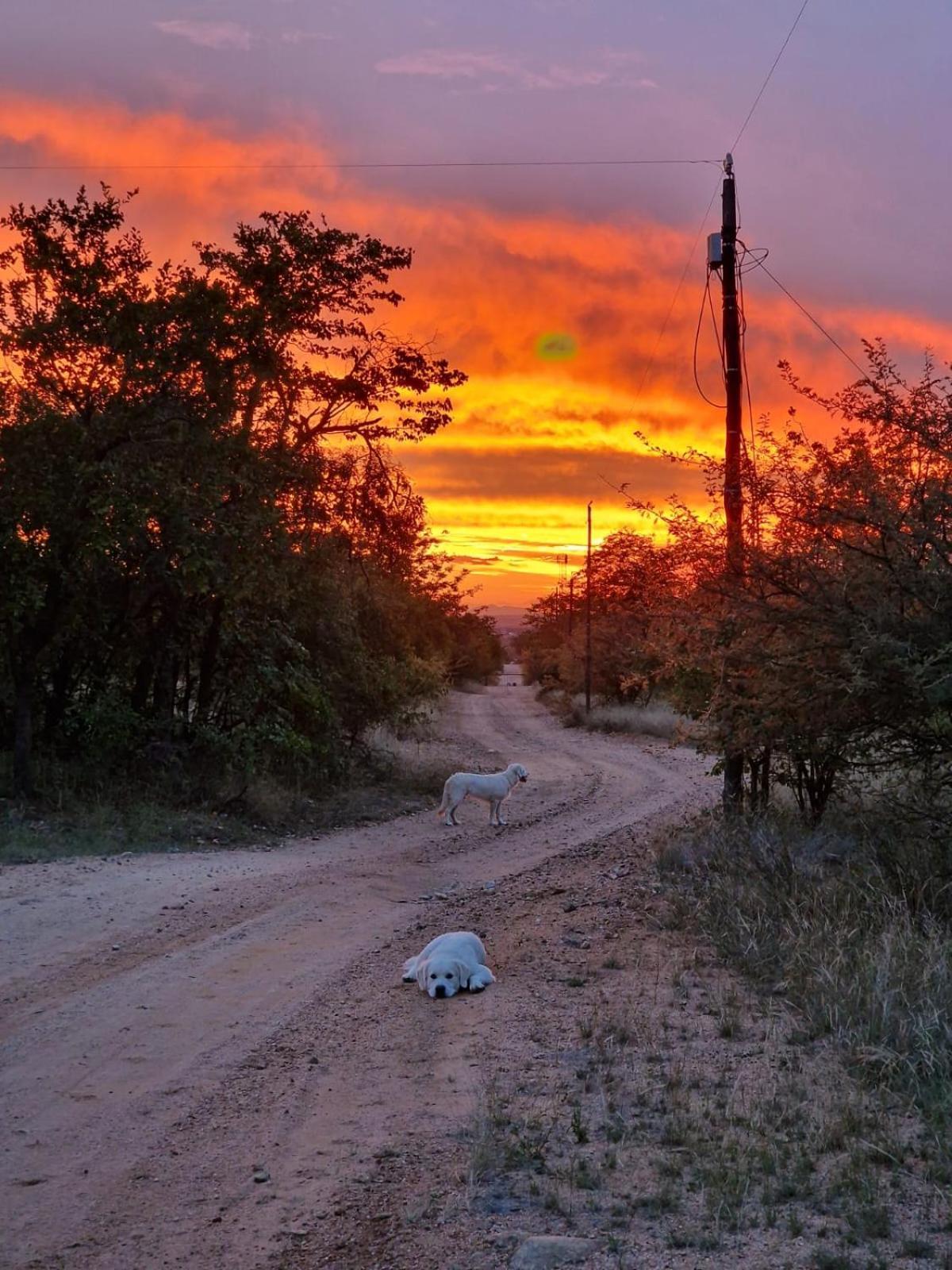 Masorini Bush Lodge Phalaborwa Esterno foto